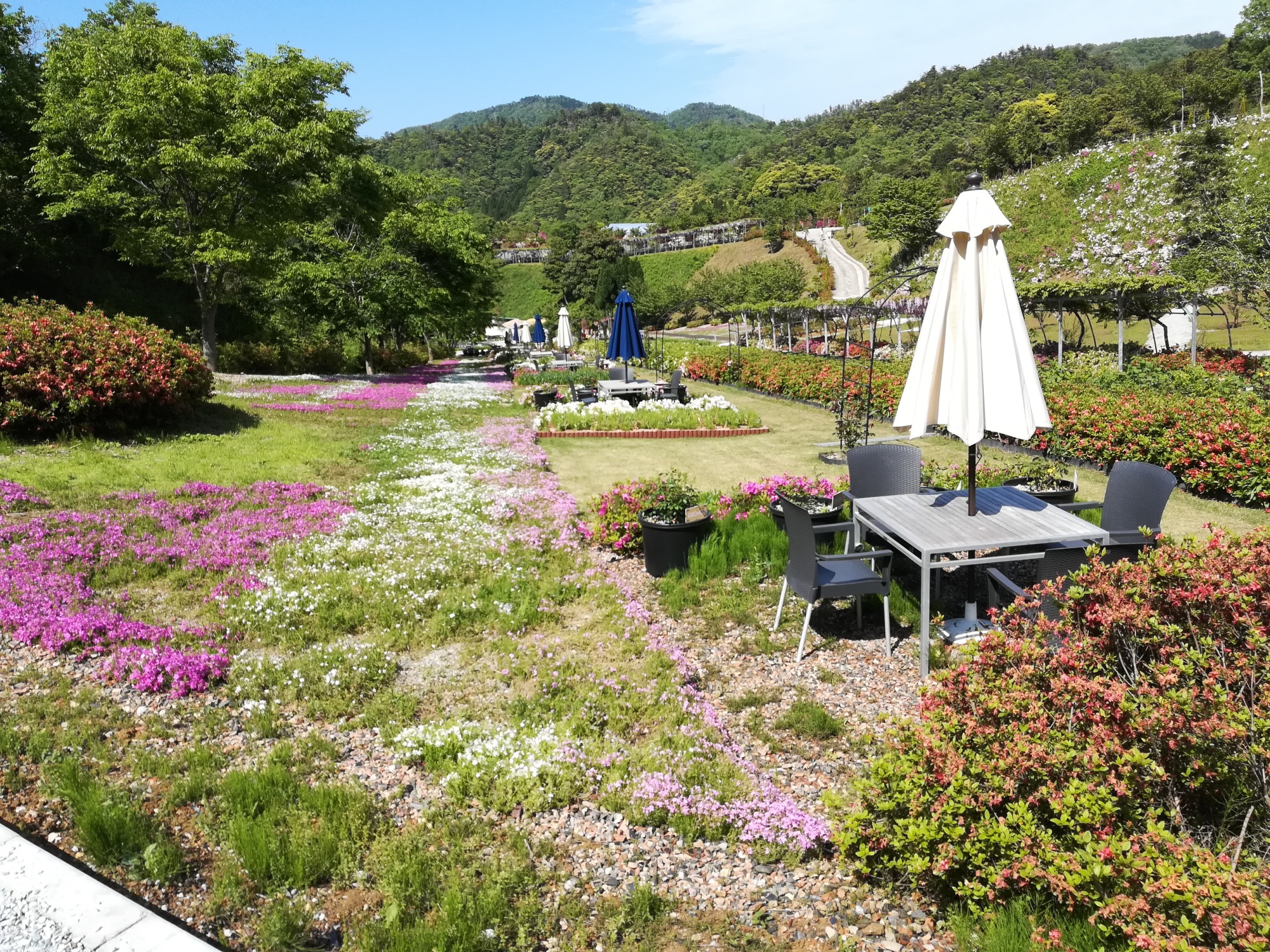 ５月を終えて、、