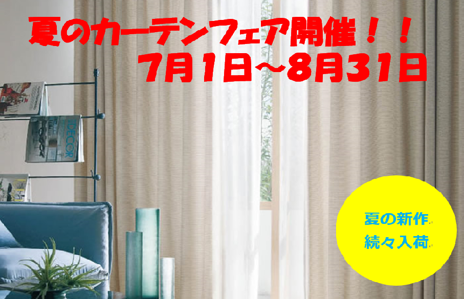 サマーキャンペーン開始！！